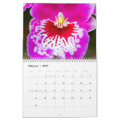 Orchideen Kalender (Feb 2027)