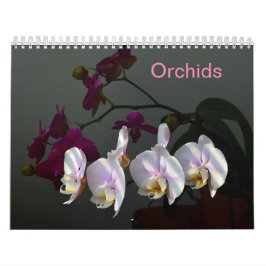 Orchideen Kalender