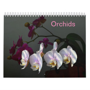 Orchideen Kalender