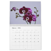 Orchideen Kalender (Feb 2026)