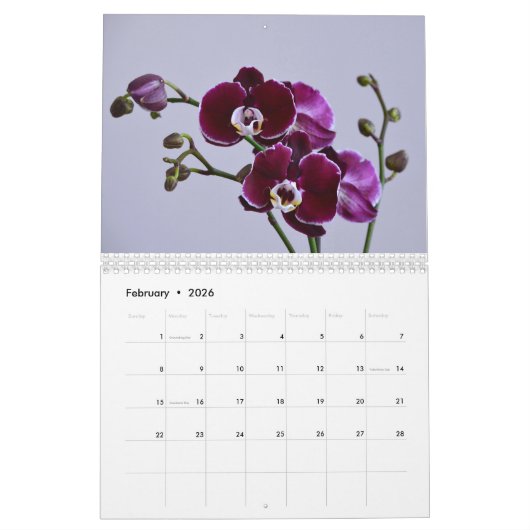 Orchideen Kalender (Feb 2026)