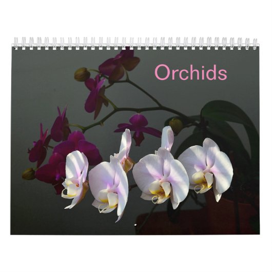 Orchideen Kalender (Titelbild)