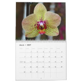 Orchideen Kalender (Mär 2027)