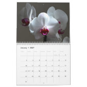 Orchideen Kalender (Jan 2027)