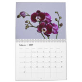 Orchideen Kalender (Feb 2027)