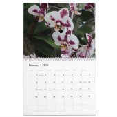 Orchideen, Kalender der tropischen Pflanze 2022 (Feb 2026)