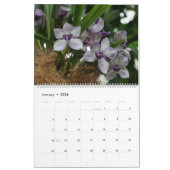 Orchideen, Kalender der tropischen Pflanze 2022 (Jan 2026)
