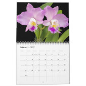 Orchideen-Kalender in mittlerer Größe Kalender (Feb 2027)