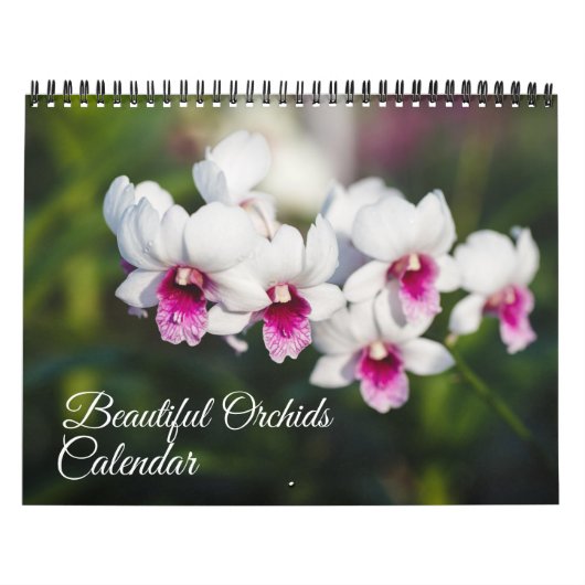 Orchideen-Kalender in mittlerer Größe Kalender (Titelbild)