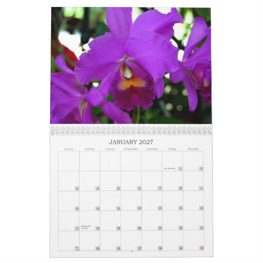 Orchideen-Kalender Kalender (Jan 2027)
