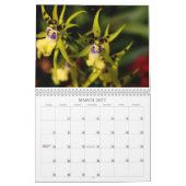 Orchideen-Kalender Kalender (Mär 2027)