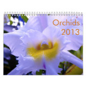 Orchideen-Kalender Kalender (Titelbild)