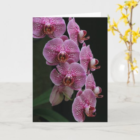 Orchideen Karte (Gelbe Blume)