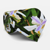 Orchideen Krawatte (Gerollt)