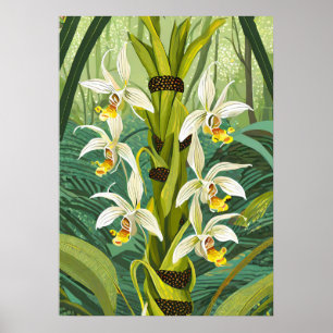 Orchideen Kunst V24 Poster