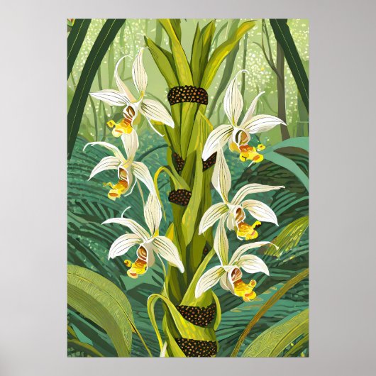 Orchideen Kunst V24 Poster (Vorne)