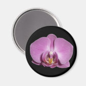 Orchideen Magnet (Vorderseite/Rückseite)