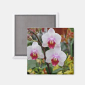 Orchideen Magnet (Vorderseite/Rückseite)