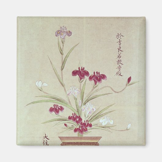 Orchideen Magnet (Vorne)
