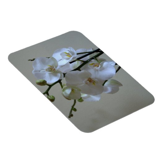 Orchideen Magnet (Rechte Seite)