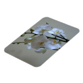 Orchideen Magnet (Linke Seite)