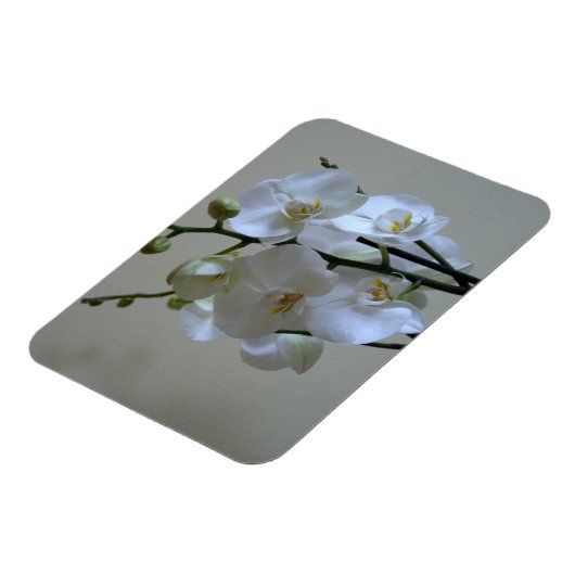 Orchideen Magnet (Linke Seite)