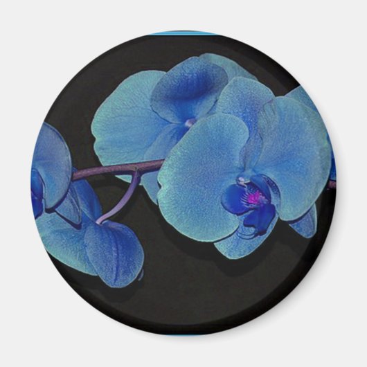 Orchideen Magnet (Vorne)