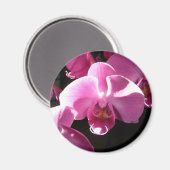 Orchideen Magnet (Vorderseite/Rückseite)
