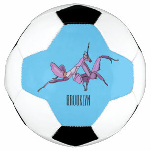 Orchideen-Mantis Cartoon-Illustration Fußball