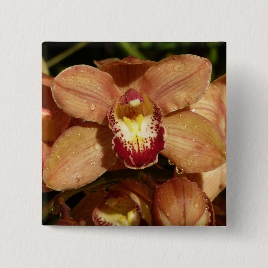 Orchideen mit Raindrops floral Button (Vorderseite)