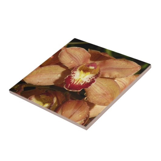 Orchideen mit Raindrops floral Fliese (Seite)
