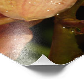 Orchideen mit Raindrops floral Fotodruck (Ecke)