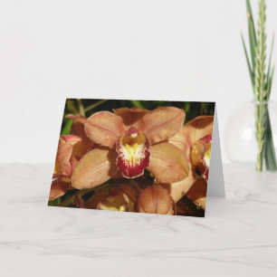 Orchideen mit Raindrops floral Karte