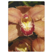 Orchideen mit Raindrops floral Klemmbrett (Rückseite)