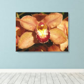 Orchideen mit Raindrops floral Leinwanddruck (Insitu (Holzboden))