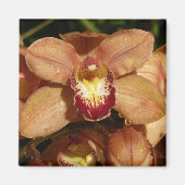 Orchideen mit Raindrops floral Magnet (Vorne)