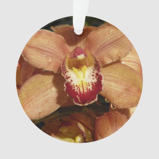 Orchideen mit Raindrops floral Ornament (Vorderseite)