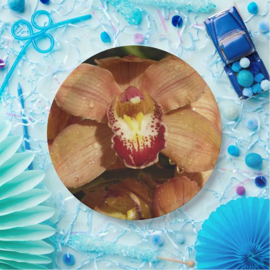 Orchideen mit Raindrops floral Pappteller (Party)