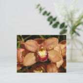 Orchideen mit Raindrops floral Postkarte (Stehend Vorderseite)
