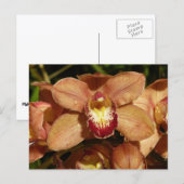 Orchideen mit Raindrops floral Postkarte (Vorne/Hinten)