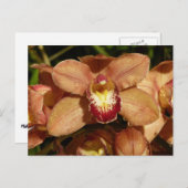 Orchideen mit Raindrops floral Postkarte (Vorne/Hinten)