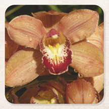 Orchideen mit Raindrops floral