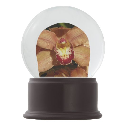 Orchideen mit Raindrops floral Schneekugel (Vorderseite)