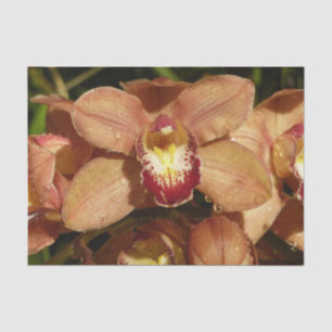 Orchideen mit Raindrops floral Seidenpapier