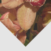 Orchideen mit Raindrops floral Seidenpapier (Ausschnitt)