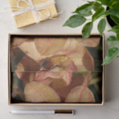 Orchideen mit Raindrops floral Seidenpapier (Geschenk)