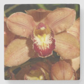 Orchideen mit Raindrops floral Steinuntersetzer (Vorderseite)