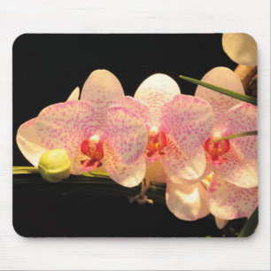 Orchideen Mousepad