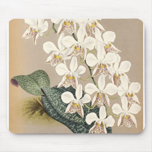 Orchideen Mousepad (Vorne)