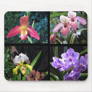 Orchideen Mousepad